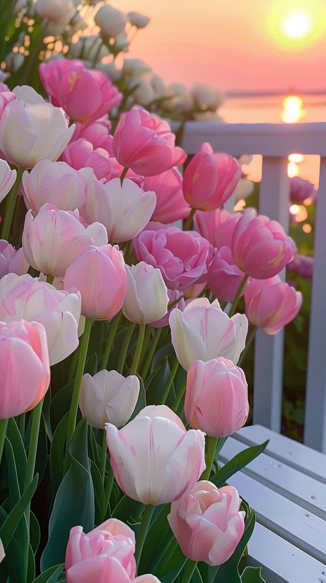 673x1200 A Kaleidoscope of Tulips: Nature's Masterpiece in Bloom