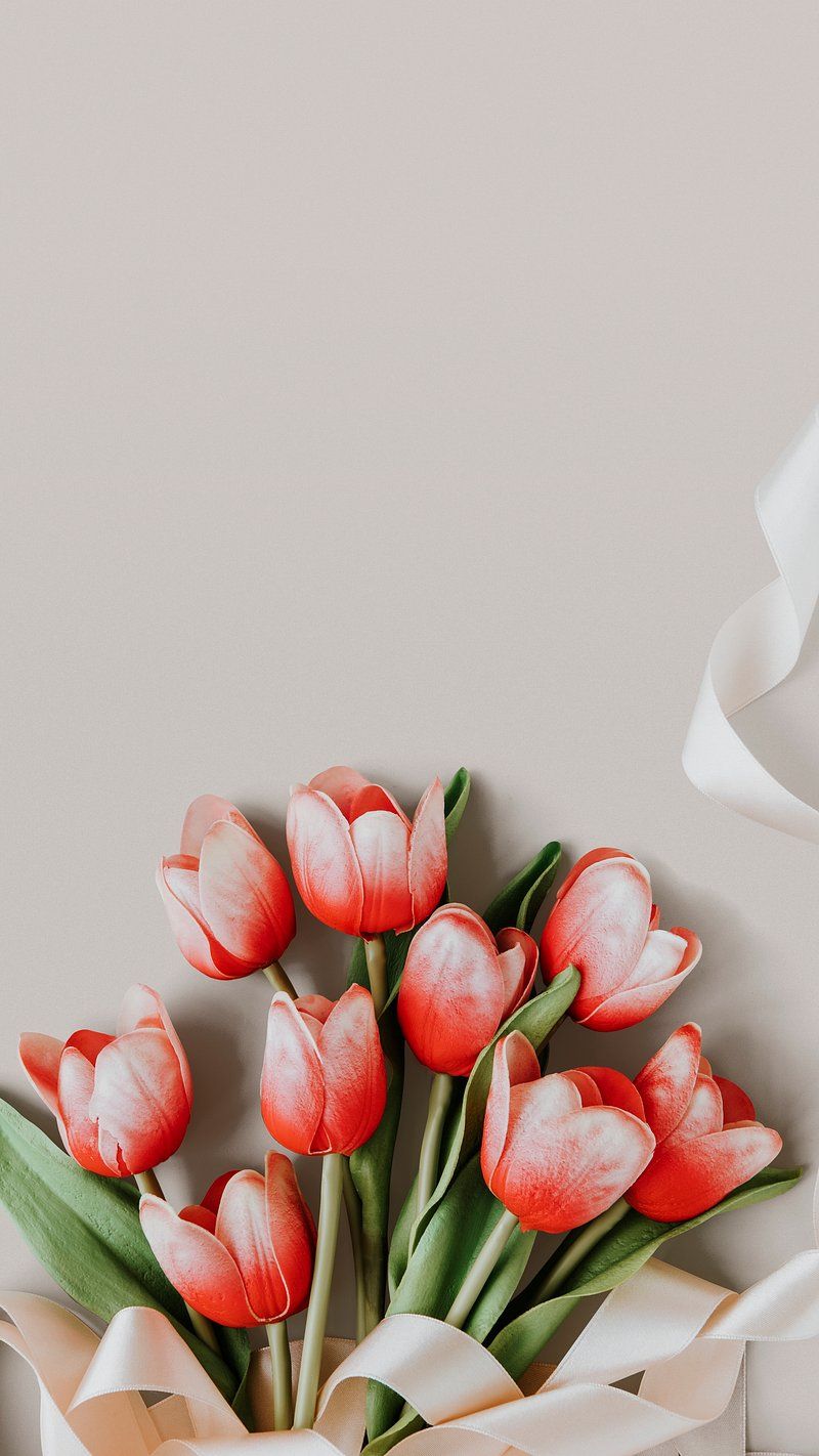 800x1422 iPhone Wallpaper Tulips Image Wallpaper
