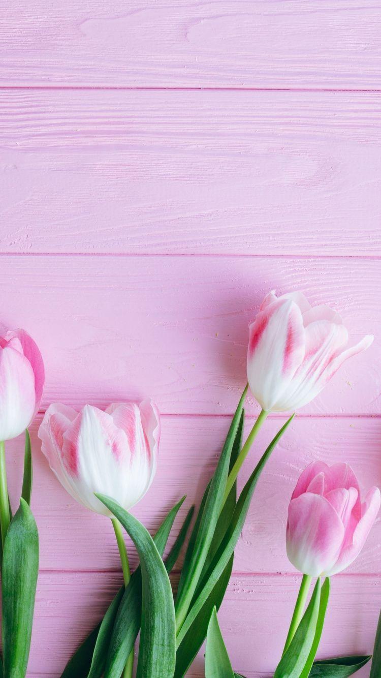 750x1334 Tulip iPhone Wallpaper