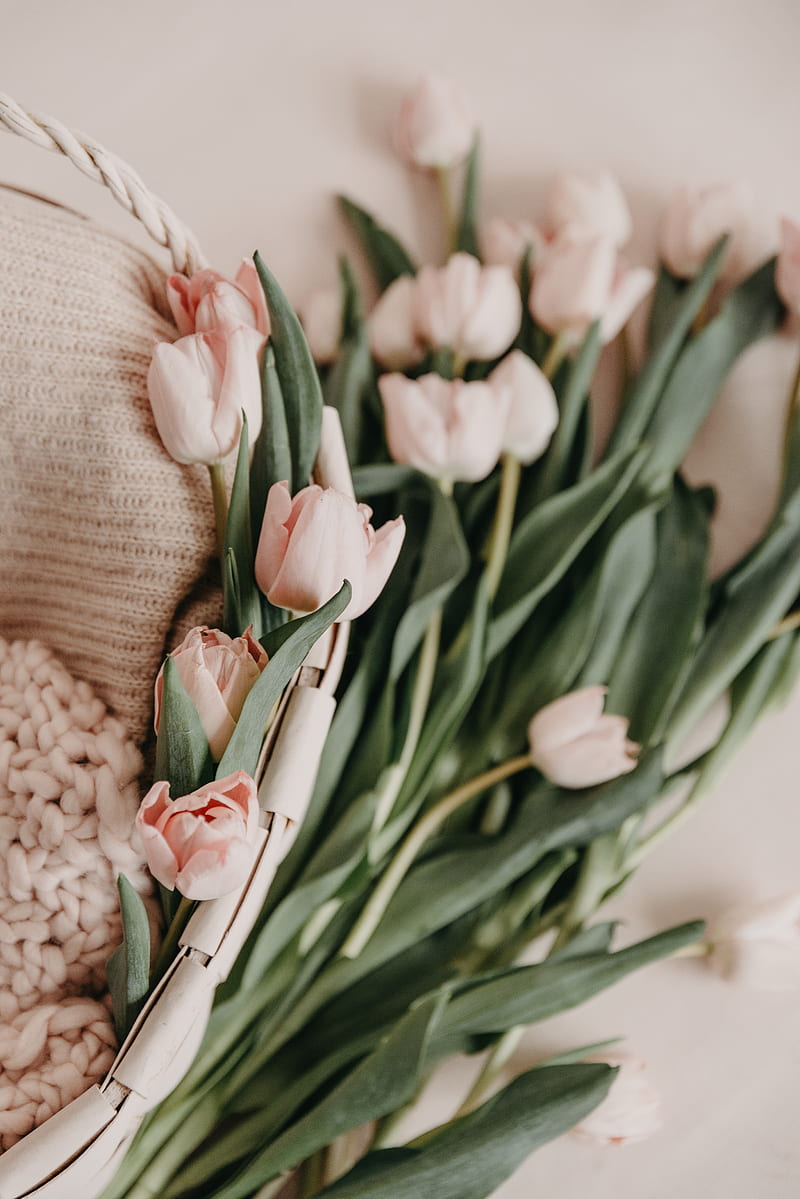 800x1199 Tulips, bouquet, basket, pink, flowers, spring, HD phone wallpaper