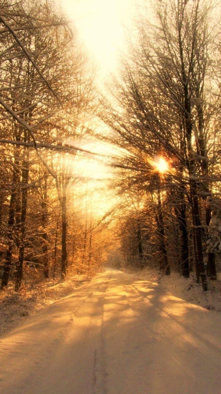 720x1280 Winter Forest Road & Sun Light Galaxy s3 wallpaper