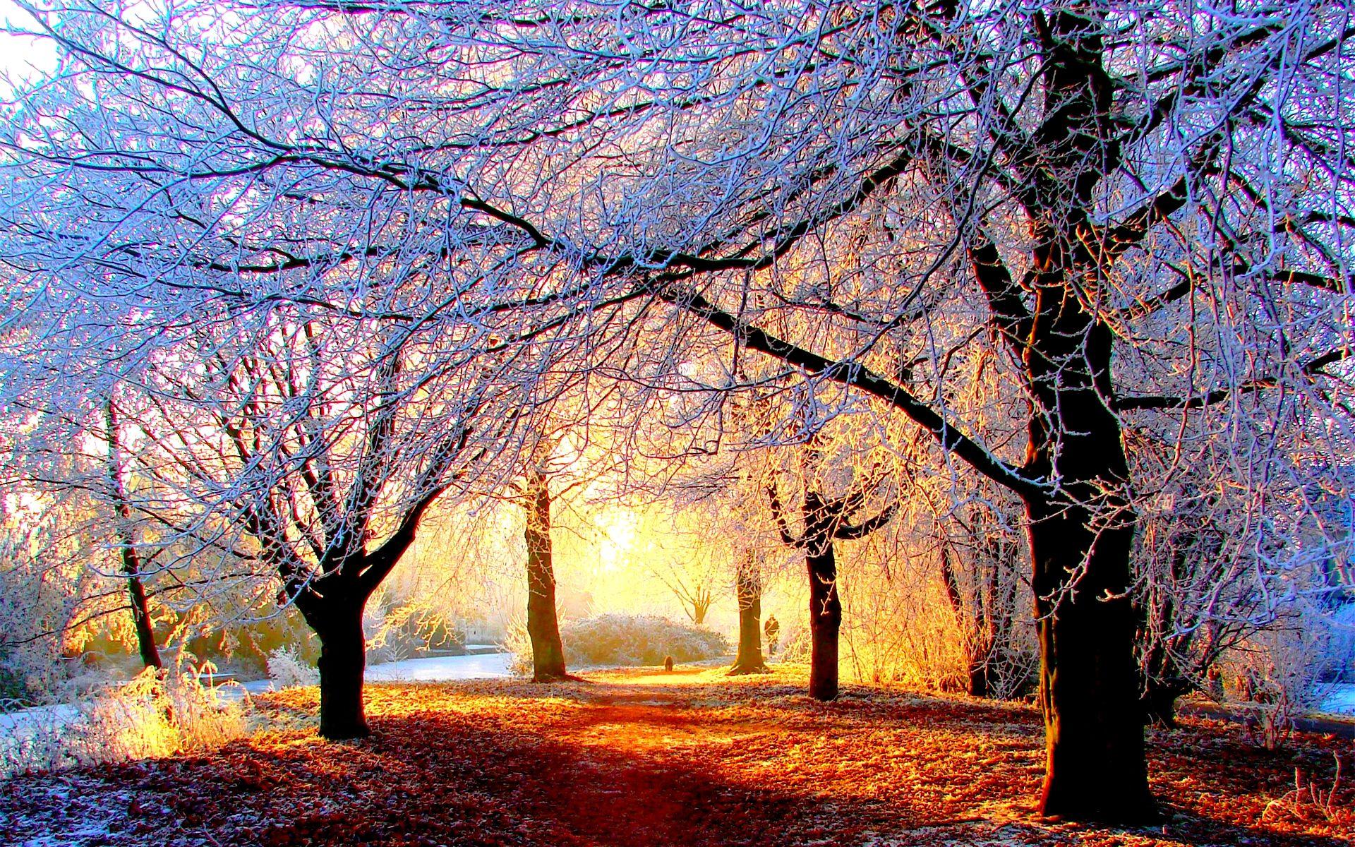 1920x1200 Awesome Sunlight Wallpaper