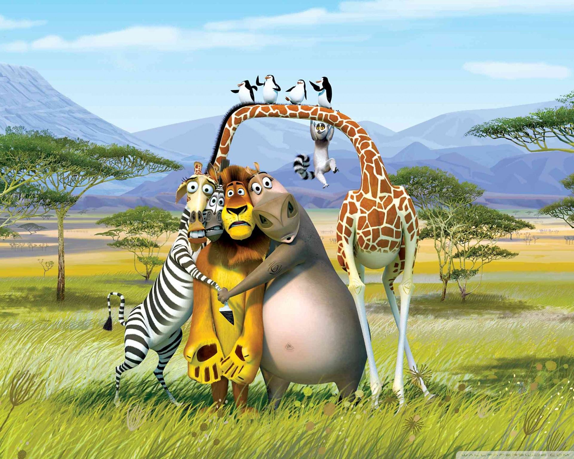 1920x1536 Madagascar The Crate Escape 4K UHD Wallpaper for UltraHD Desktop and TV : Widescreen and UltraWide Display : Smartphone and Tablet Devices