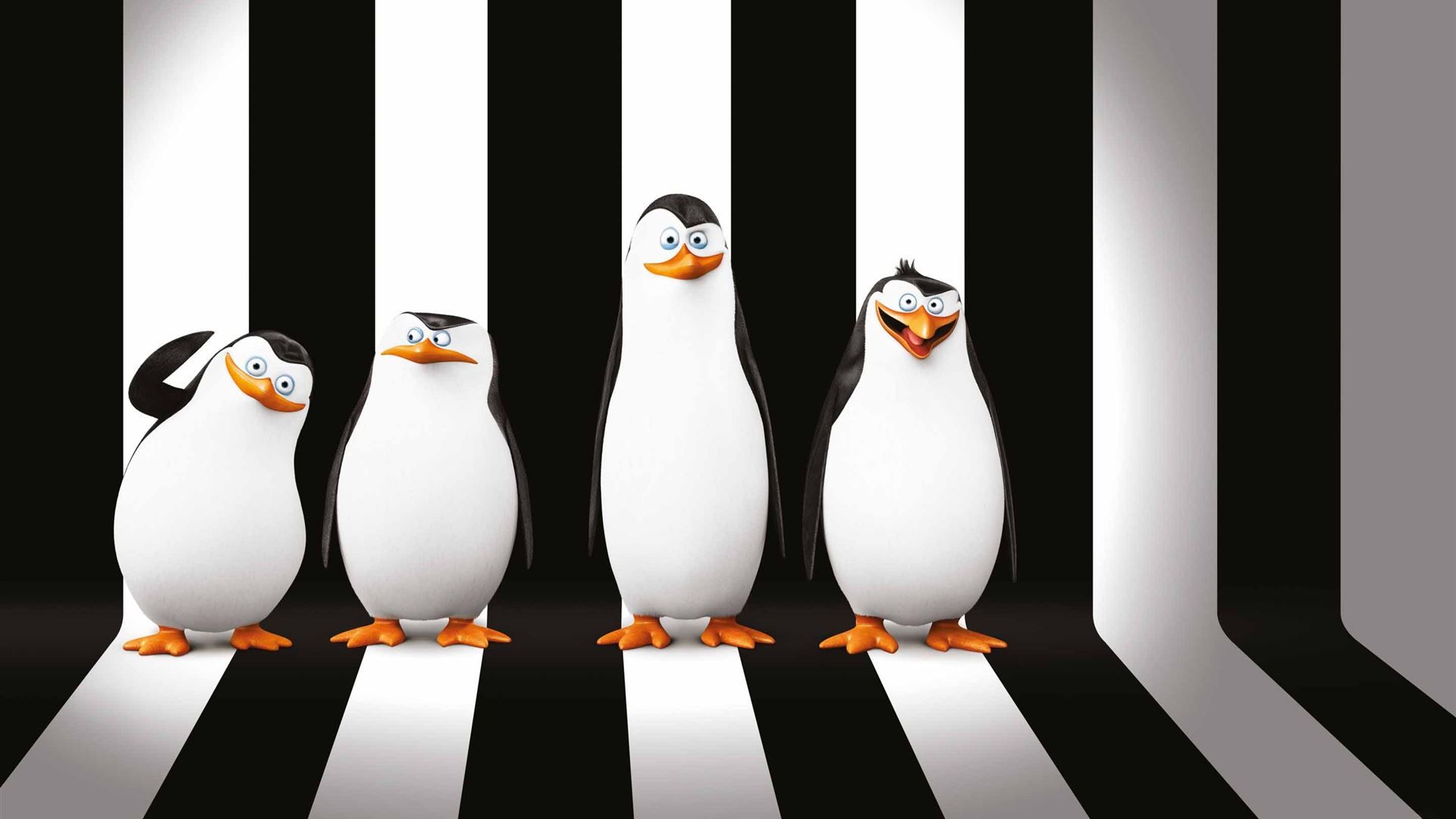 1920x1080 Penguins Of Madagascar Movie Mac Wallpaper Download
