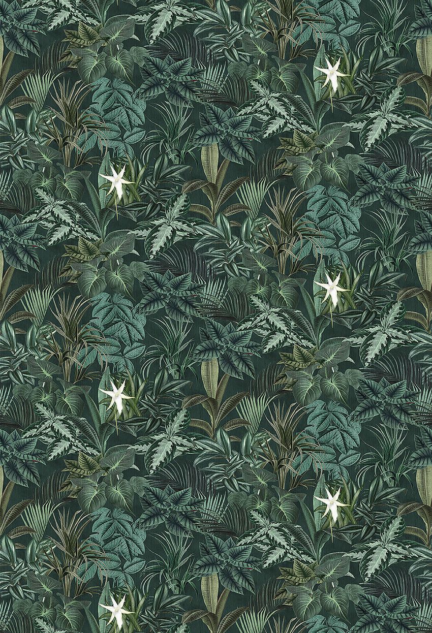 850x1246 Madagascar leaves mural