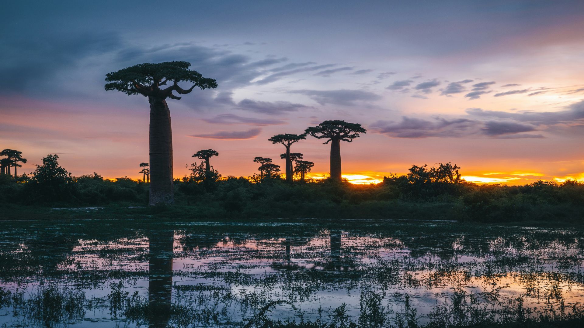 1920x1080 Madagascar island where nature writes its own story