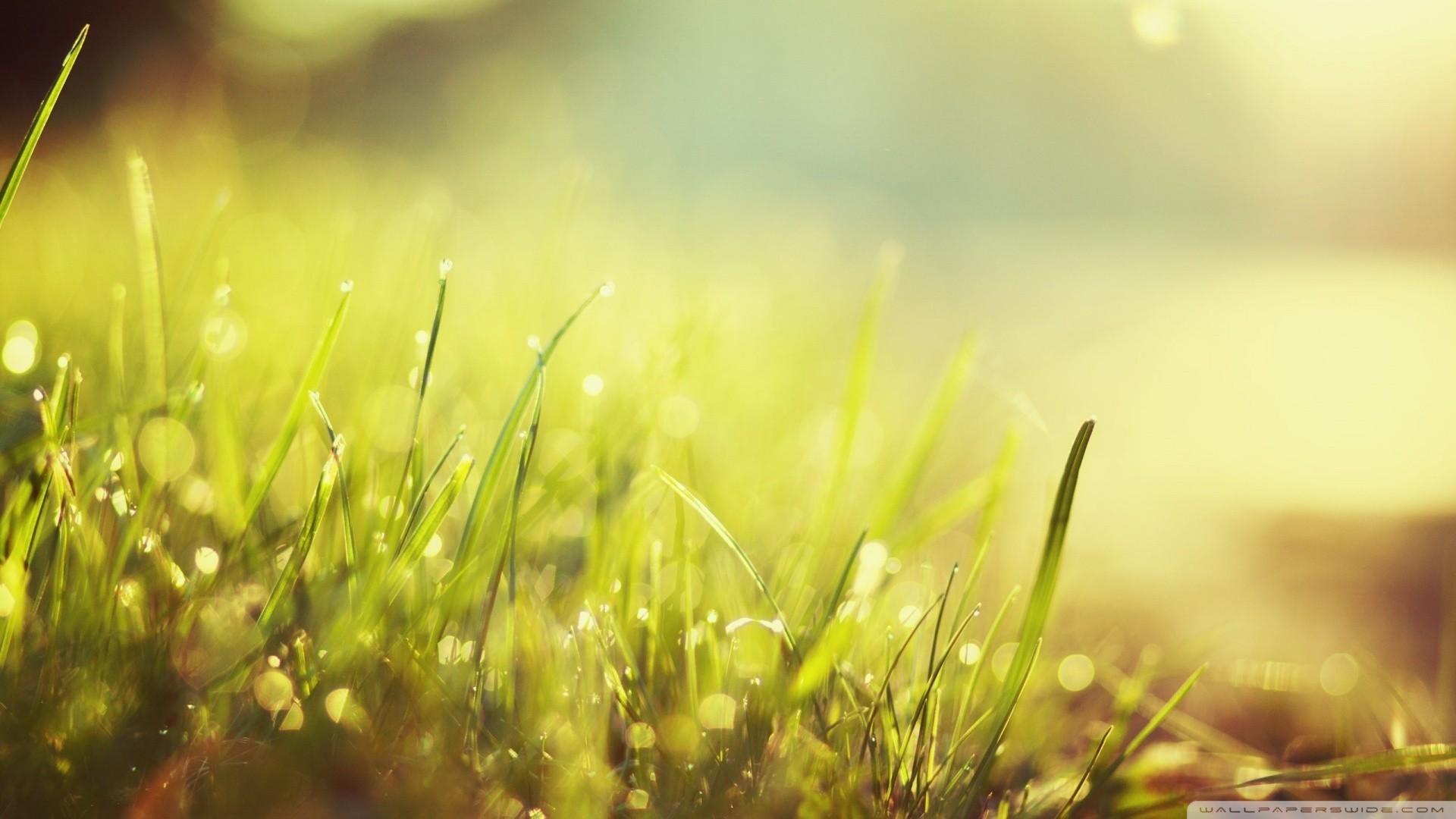 1920x1080 Sunlight Wallpaper