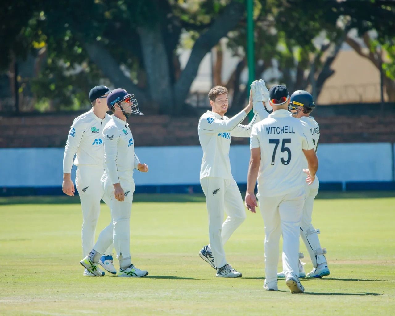 1280x1024 Mitchell Santner celebrates a wicket. The Southern African Times