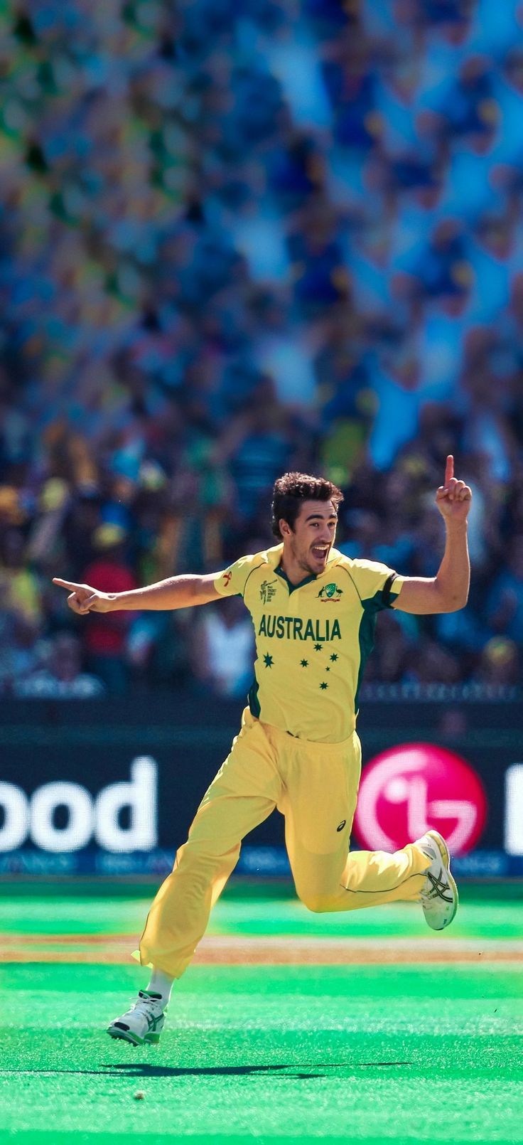 736x1610 Mitchel Starc wallpaper