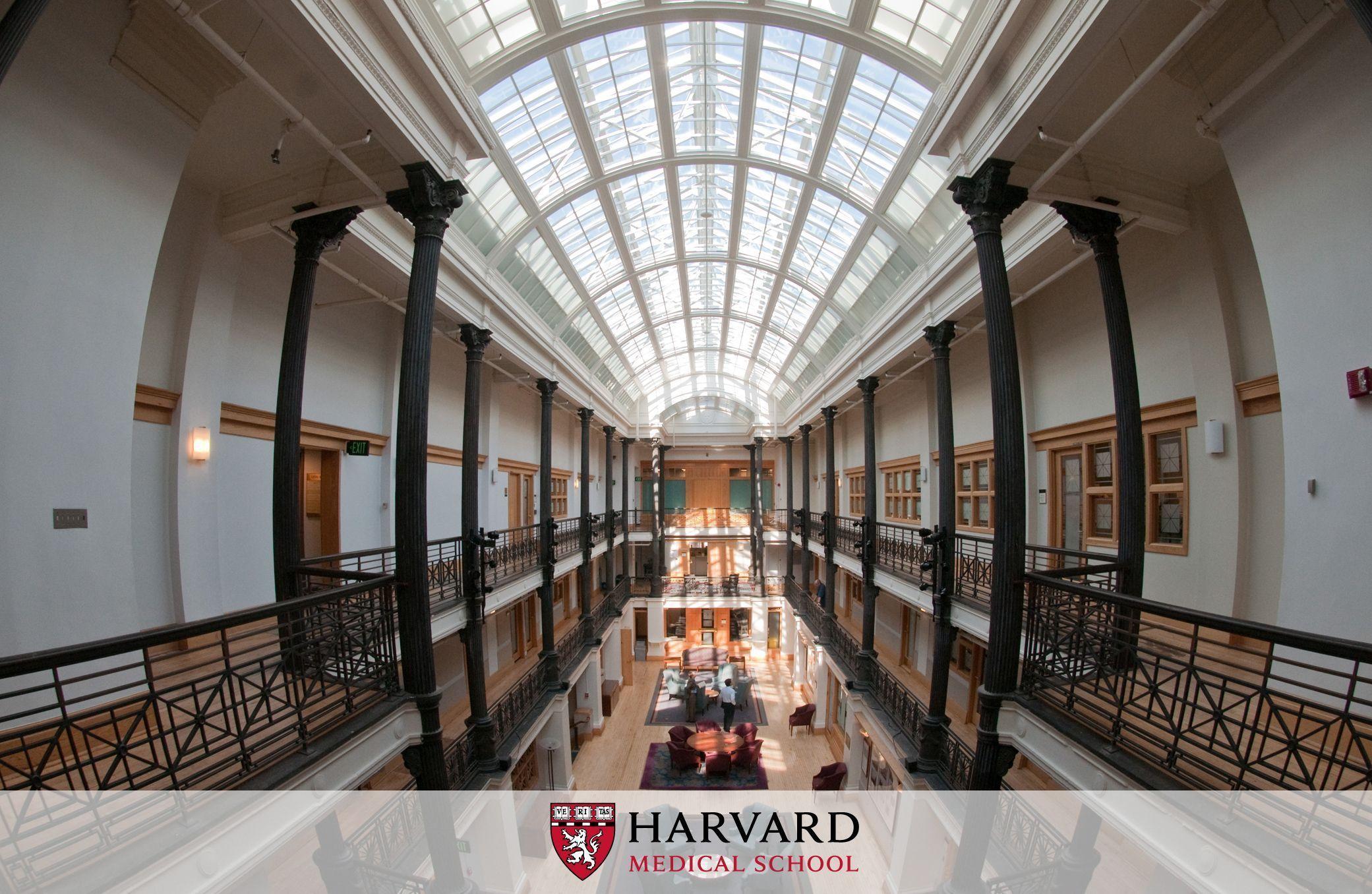 Harvard University Wallpapers - Top Free Harvard University Backgrounds