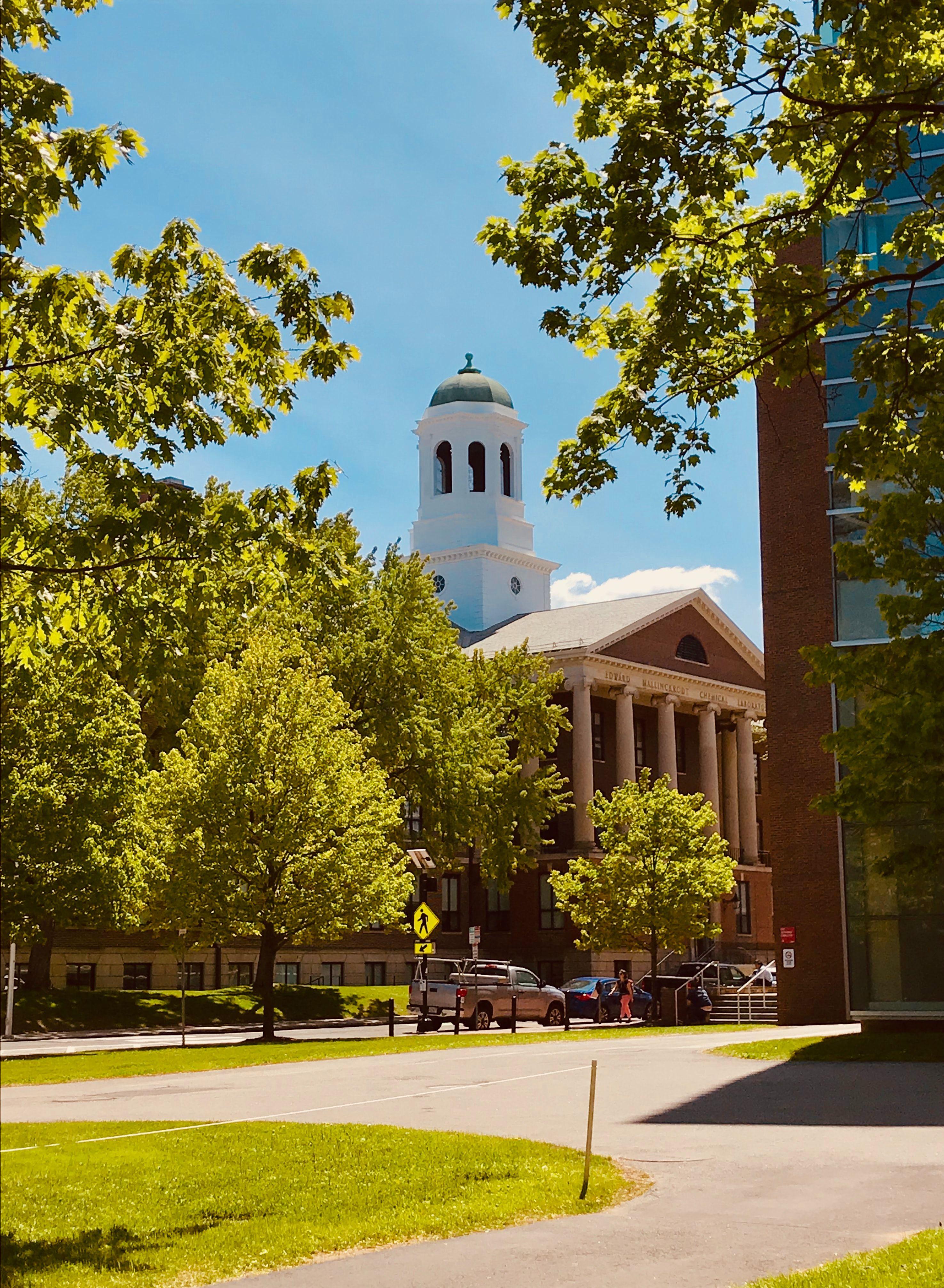 Harvard University Wallpapers - Top Free Harvard University Backgrounds ...