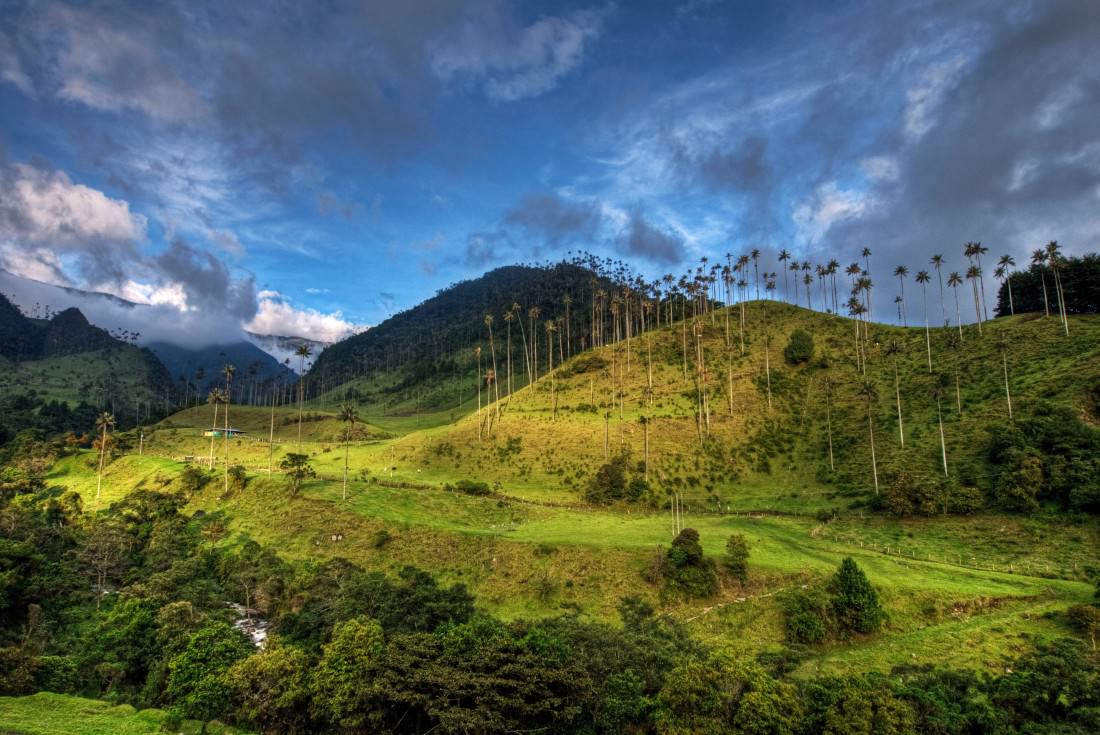 1100x735 Things to Do in Salento Small Town Colombia