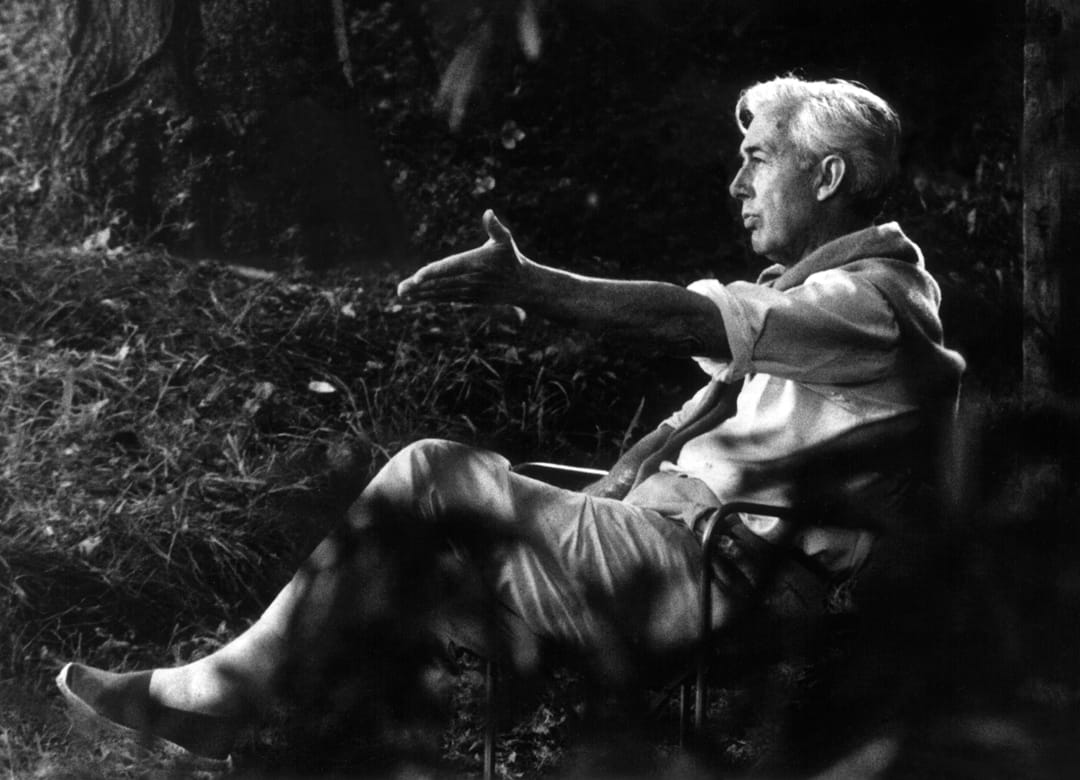 1080x780 Robert Bresson Wallpaper