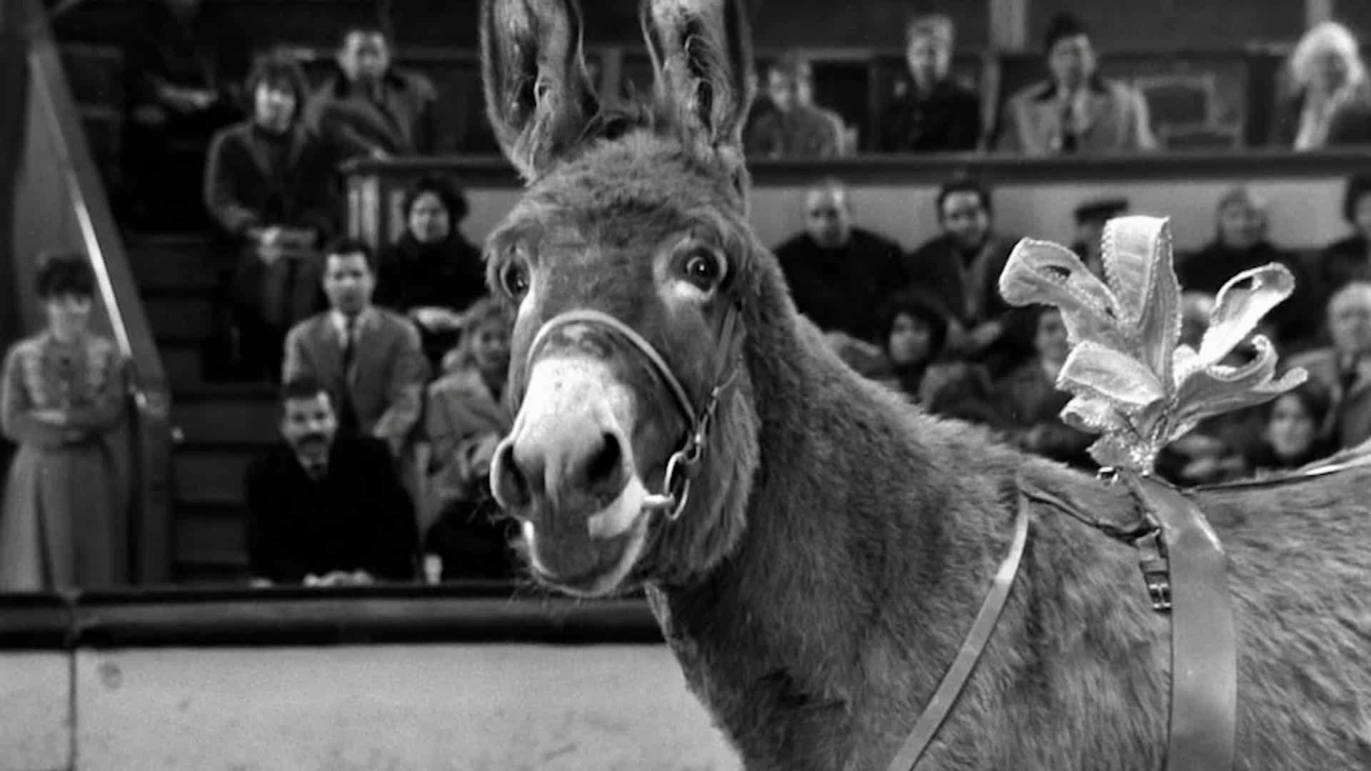 1920x1080 All Too Human: Robert Bresson's Au hasard Balthazar