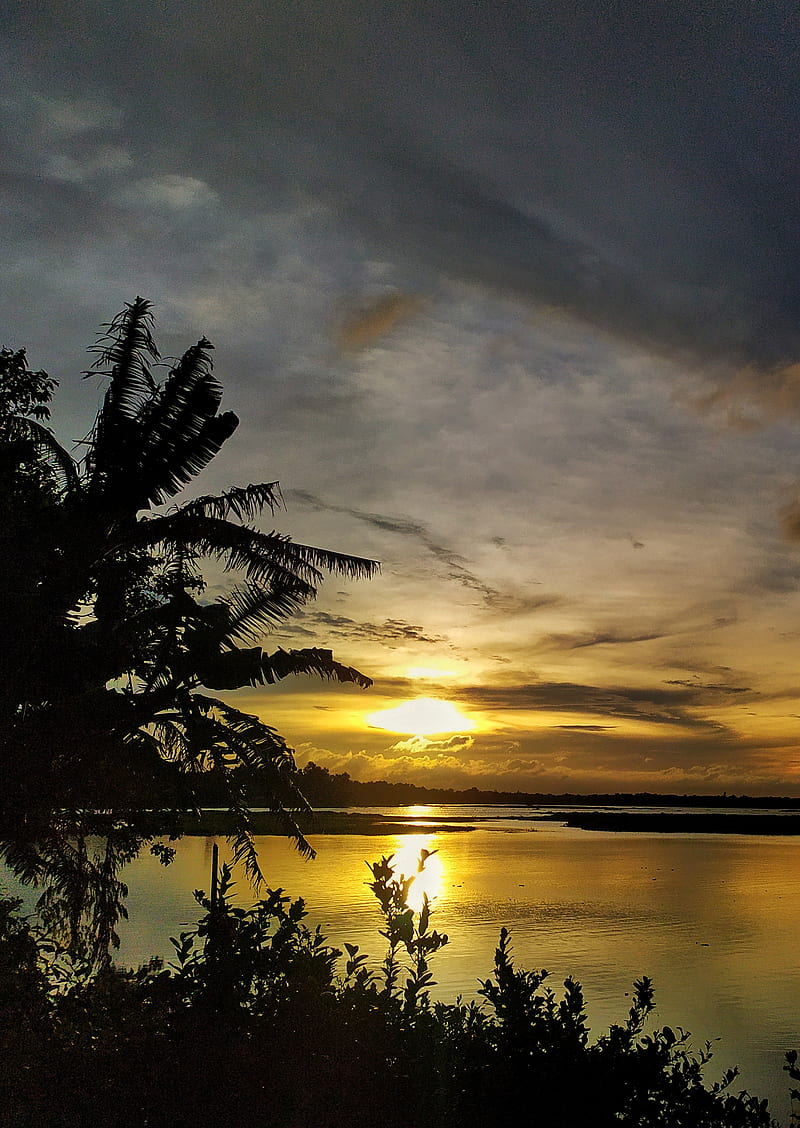 800x1128 Yellow sky, national, new, new, river, sky, sun, sunrise, weather, yellow, HD phone wallpaper