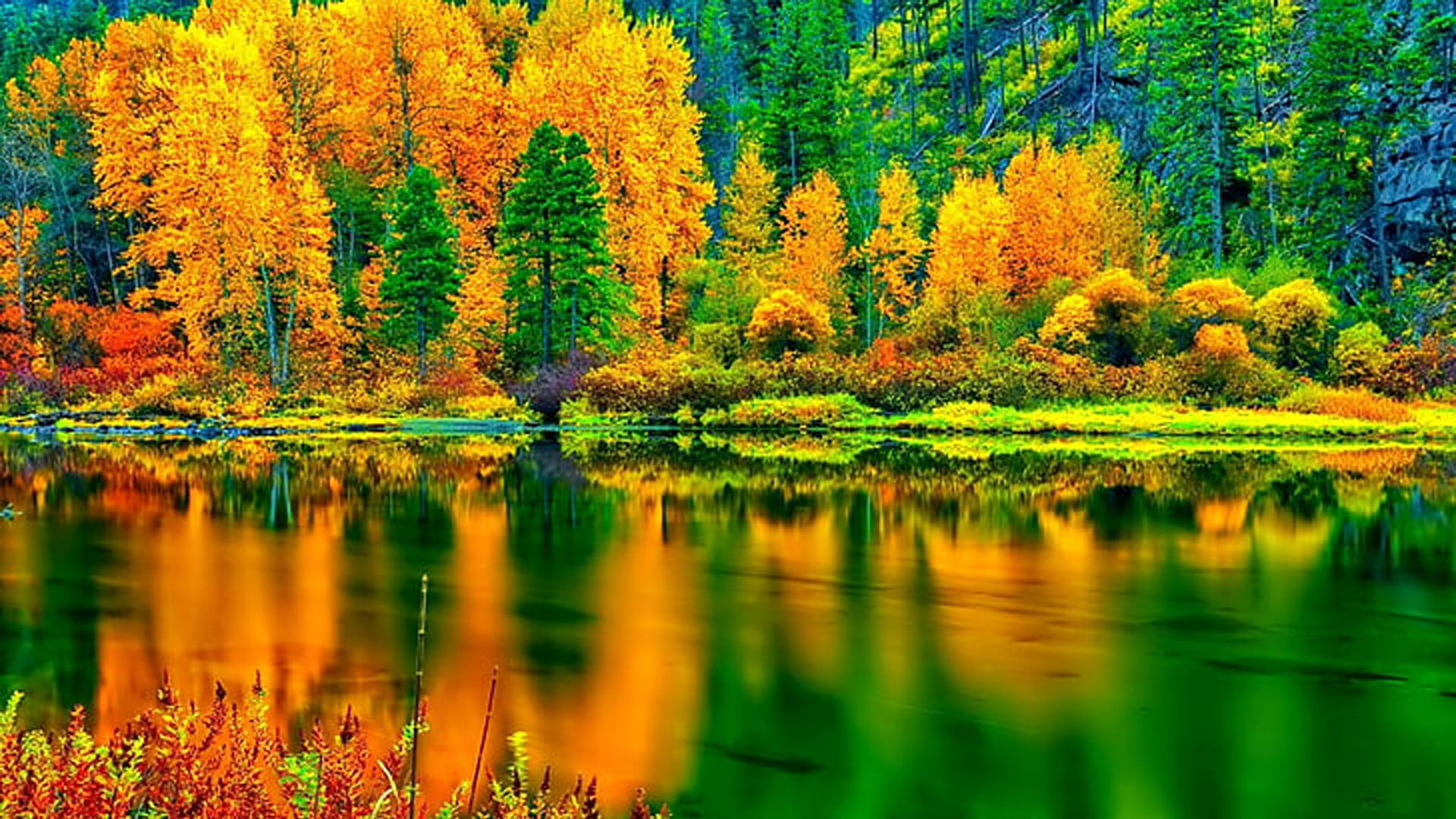 1920x1080 Yellow Green Autumn Leaves Trees Mountain Background Reflection On River HD Autumn Wallpaper