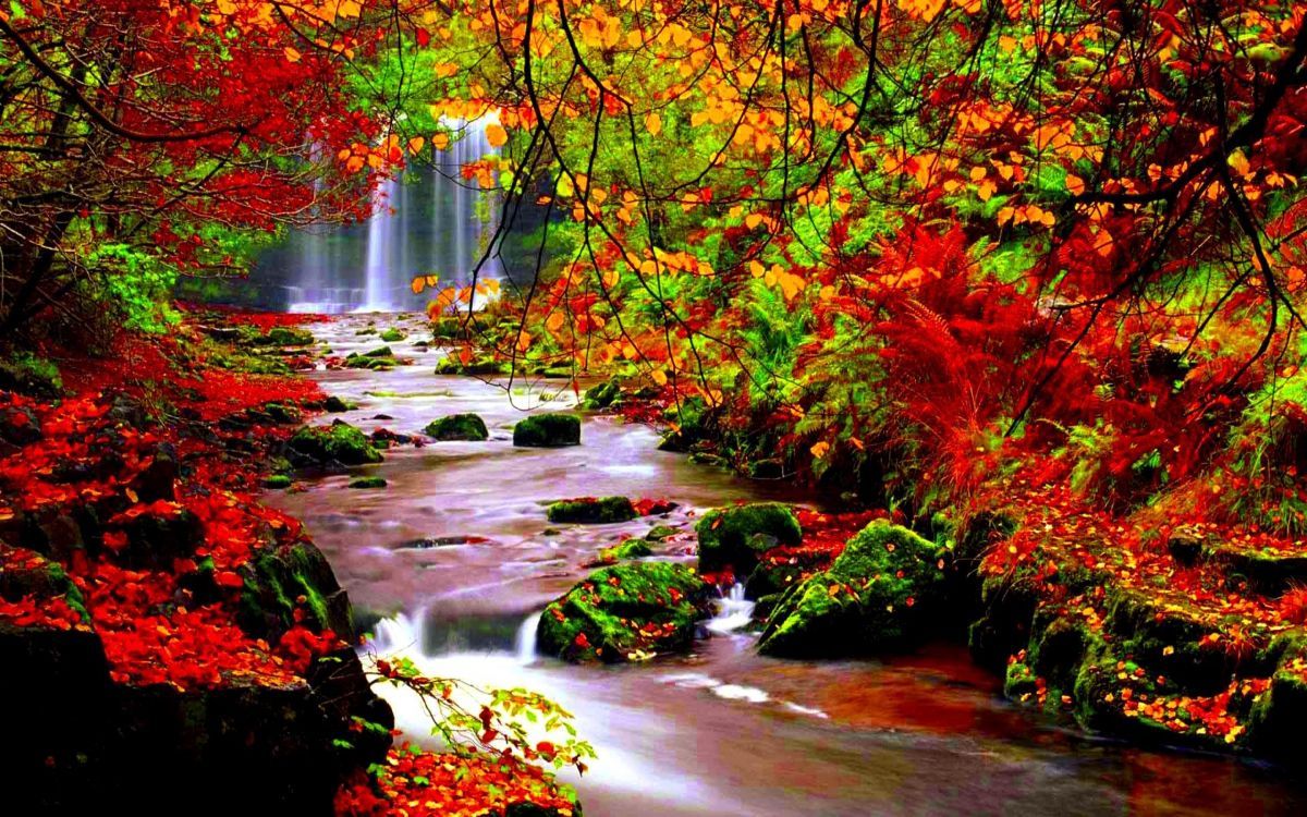 1200x750 Wallpaper Red and Yellow Leaves on River, Background Free Image