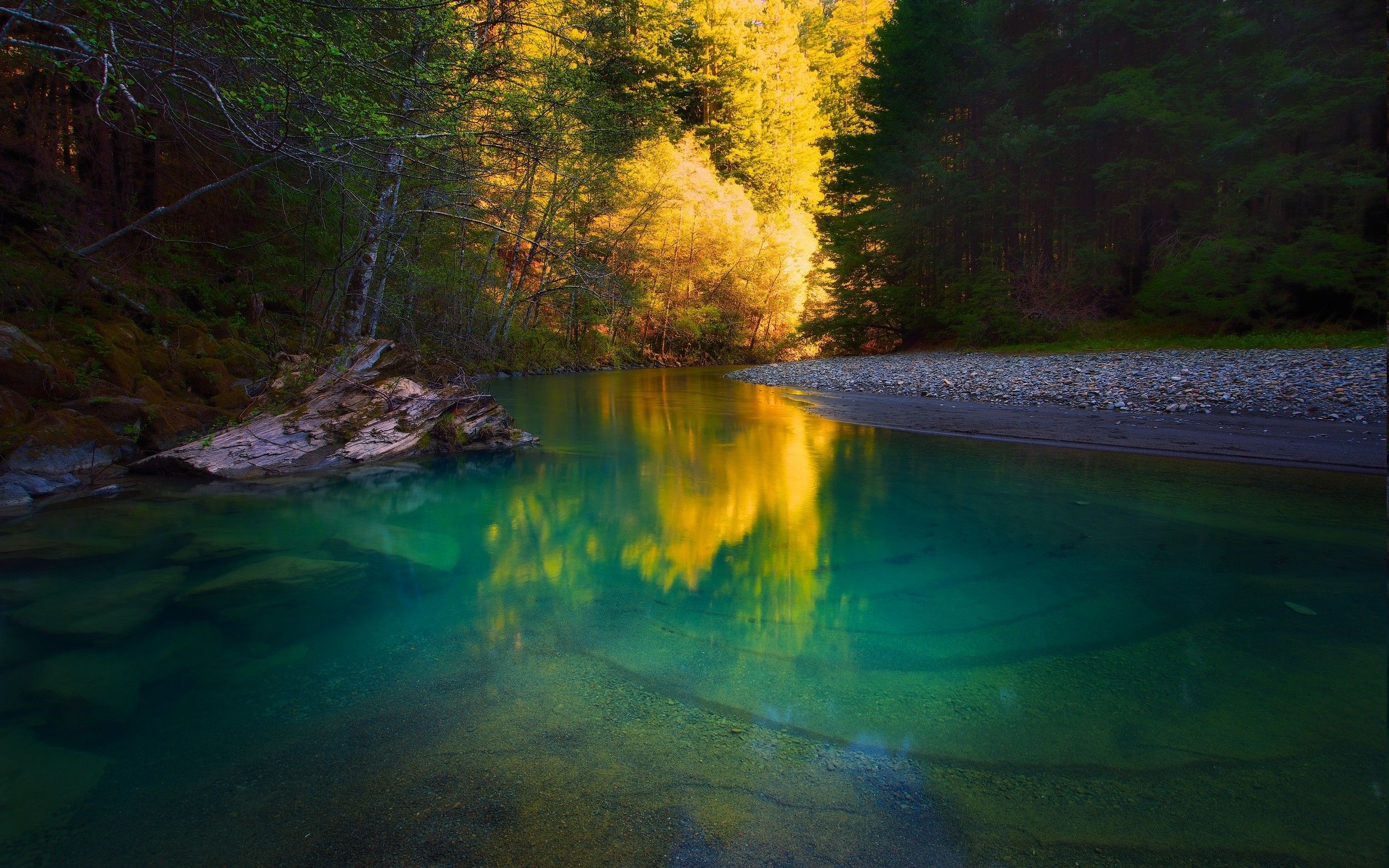 2500x1563 nature, River, Forest, Water, Trees, Yellow, Green, Calm, Landscape, Turquoise Wallpaper HD / Desktop and Mobile Background