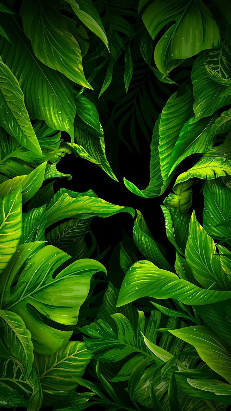 800x1422 HD leaf nature leaves wallpaper