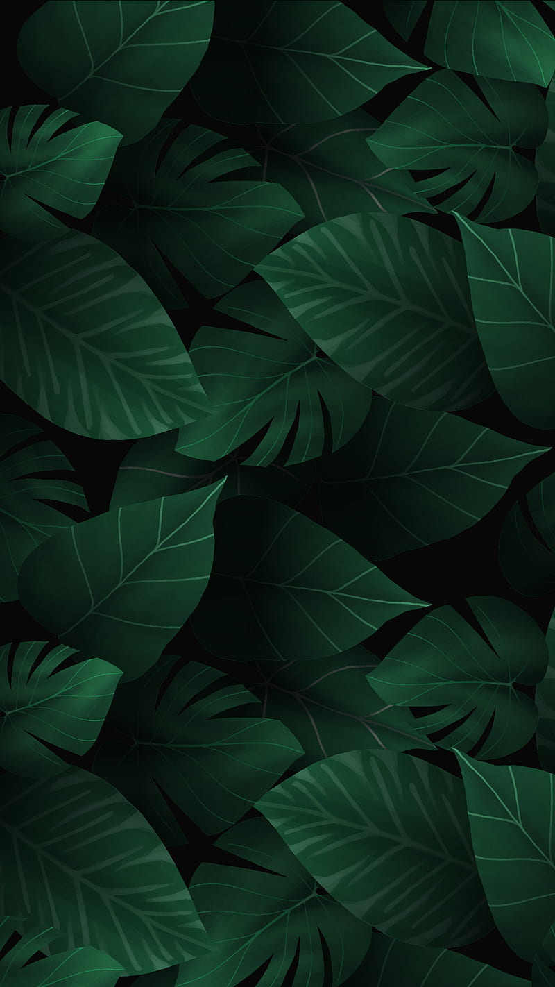 800x1422 Dark Leaves, clover, green, leaf, nature, HD phone wallpaper