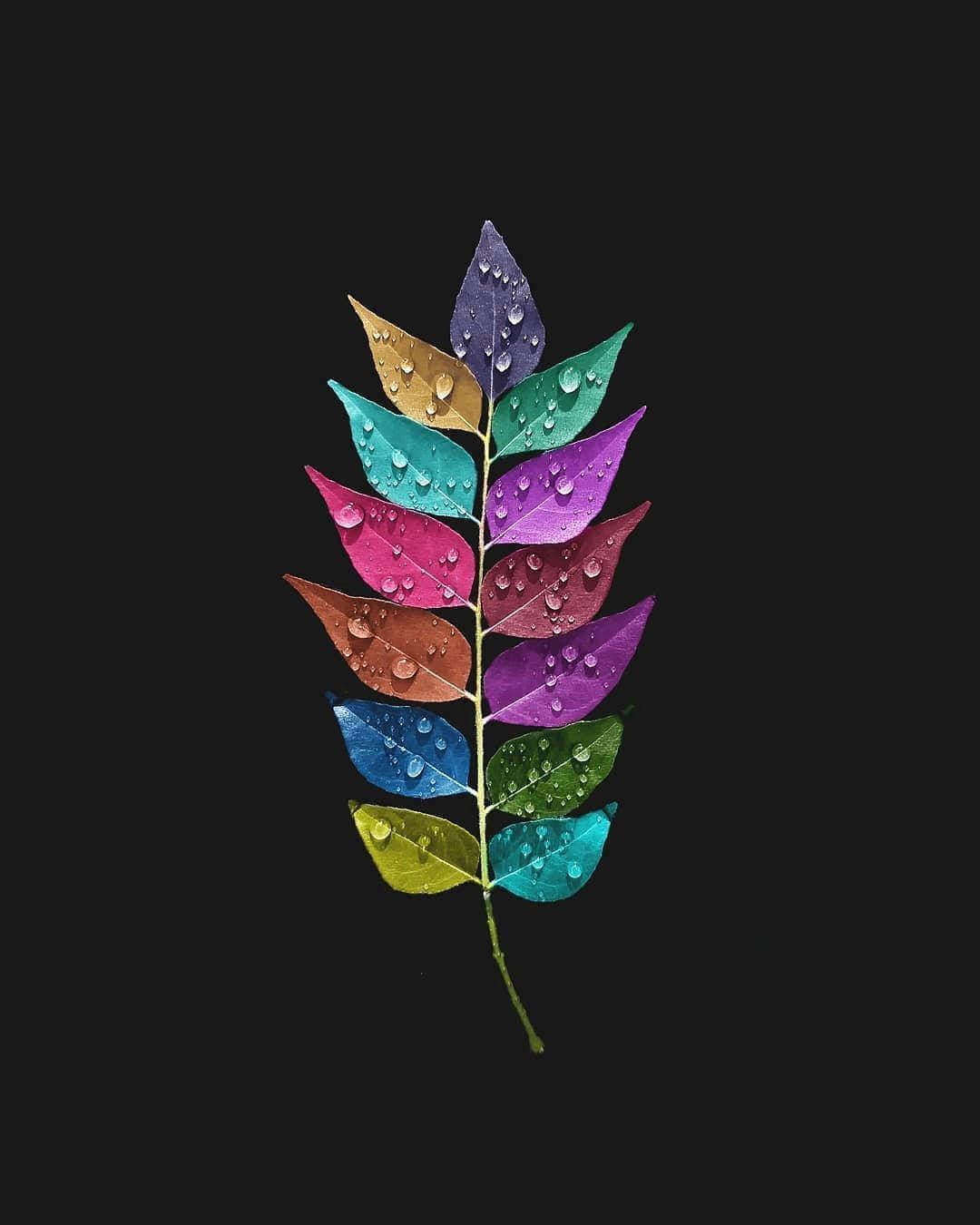 1080x1350 Download Colorful Leaf iPhone X Nature Wallpaper
