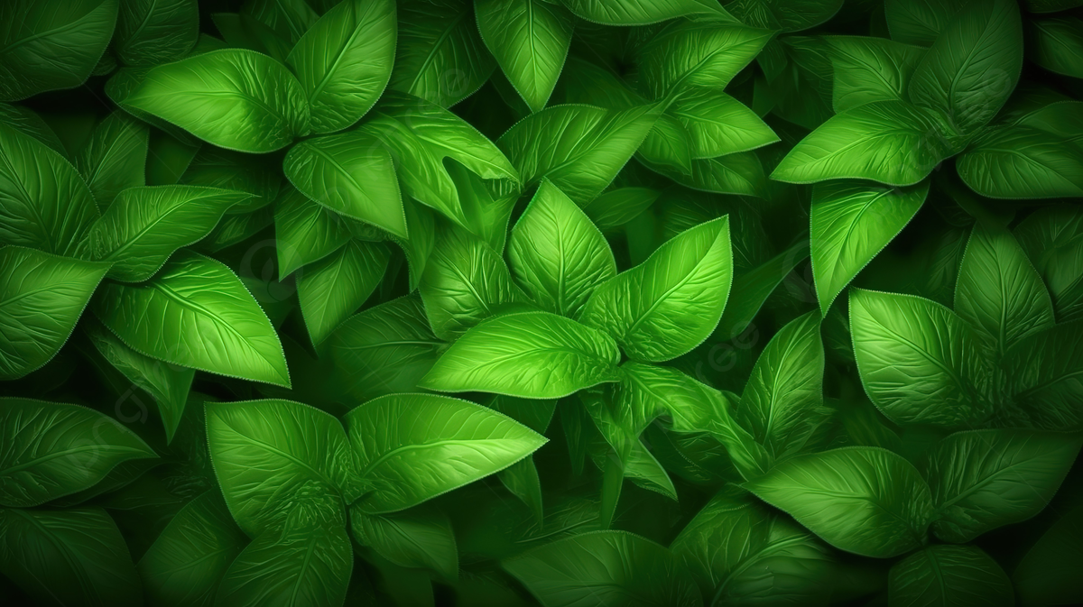 1200x673 Vibrant Green Nature Wallpaper A Captivating Floral Abstract With Leaf Background Texture, Plant Texture, Leaf Texture, Tree Pattern Background Image And Wallpaper for Free Download