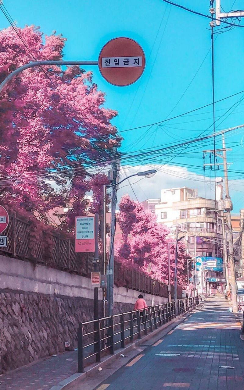 800x1280 Download Teal Korean Aesthetic Wallpaper