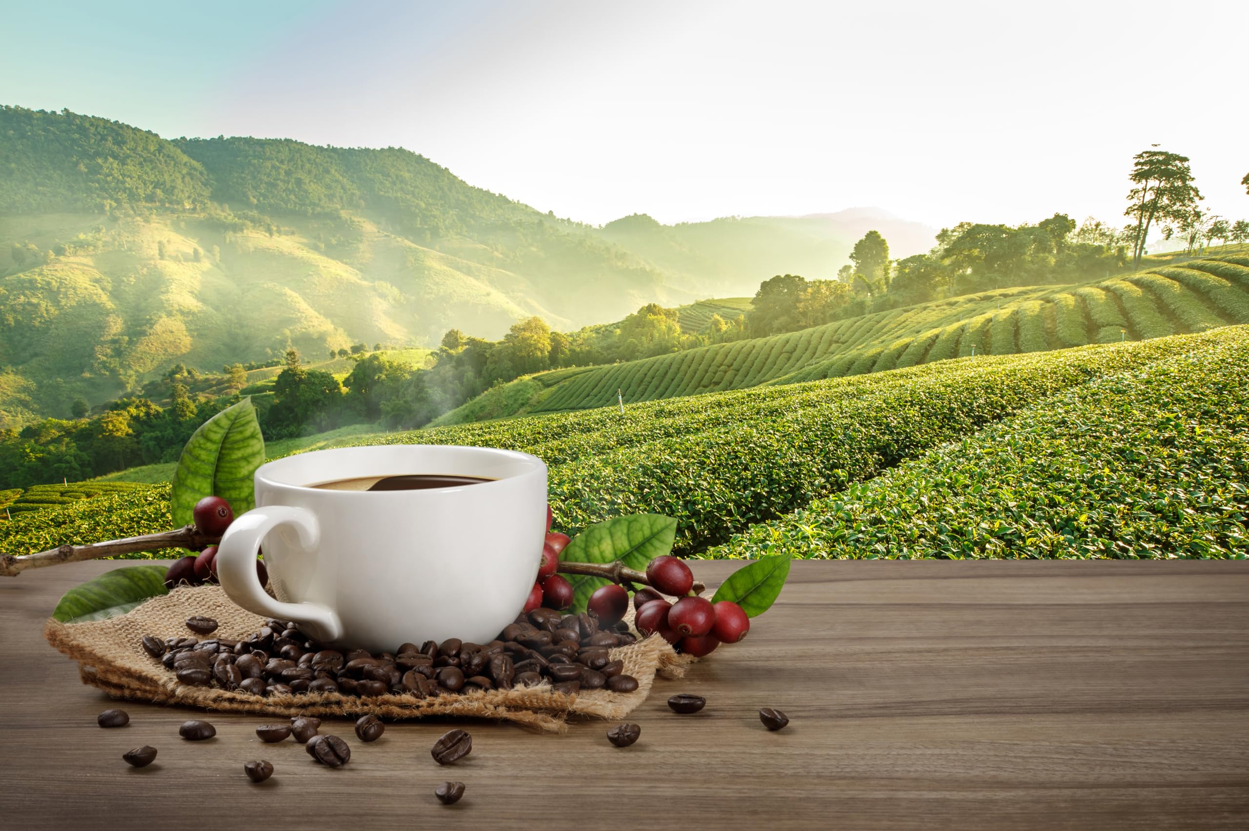 2560x1704 Amazon.com : chnywork 7x5ft Coffee Farm Backdrop Hot Cup Red Coffee Beans on Wooden Table Green Fogy Mountain Background Theme Party Decor Cafe Shop Photo Booth Studio Props Wallpaper