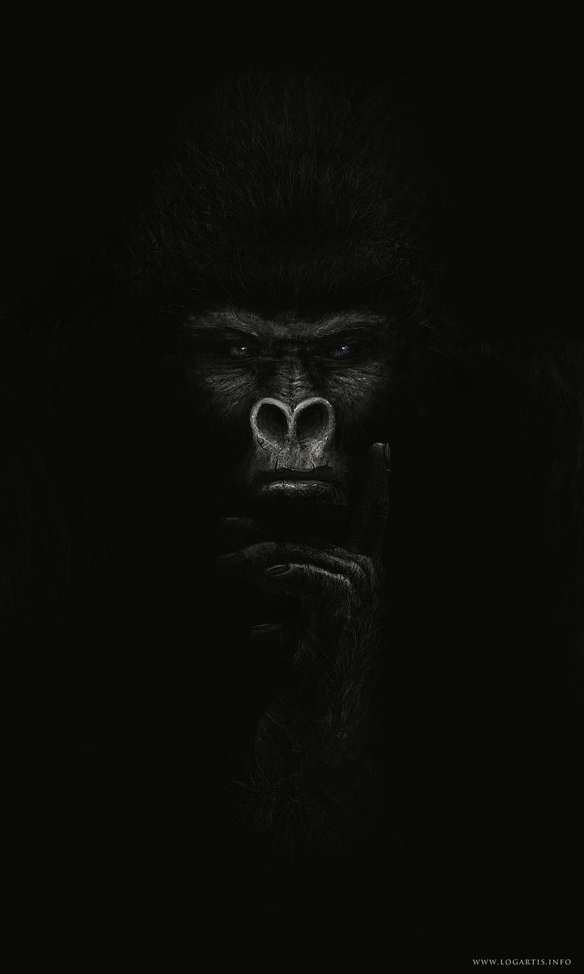 850x1417 Gorilla HD wallpaper