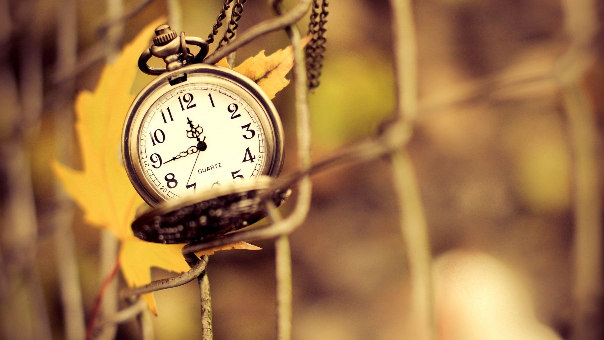 1920x1080 clocks, Fence, Depth of field, Leaves, Time, Plants Wallpaper HD / Desktop and Mobile Background