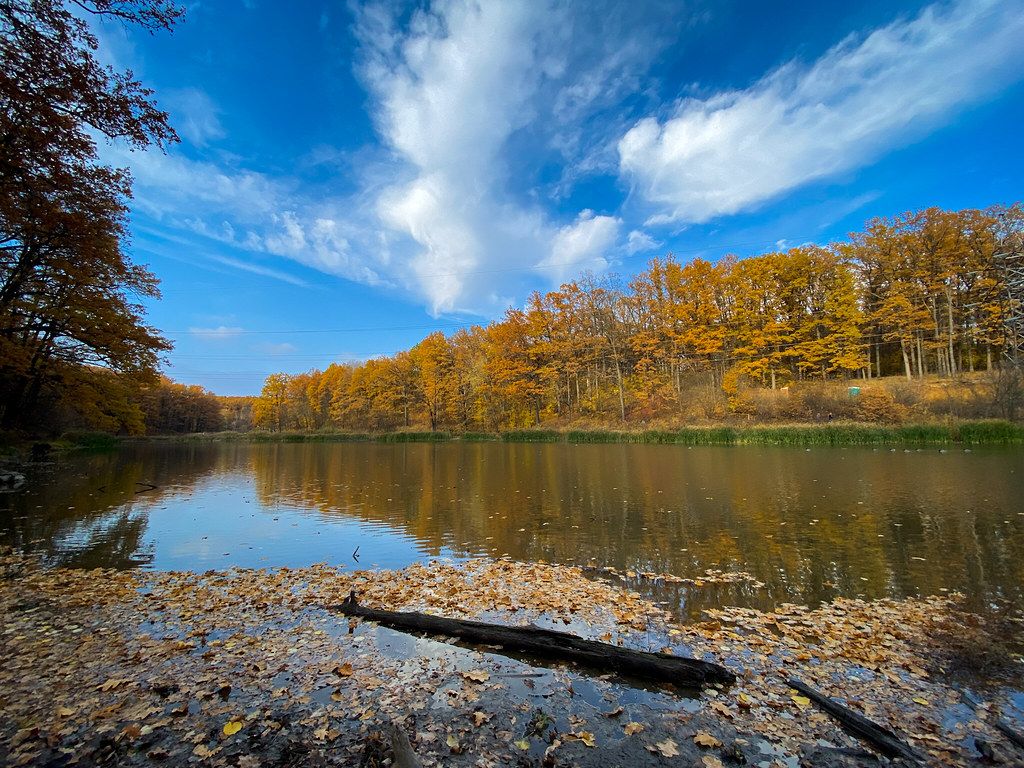 1024x768 IMG_0460. Autumn vibes Kharkiv, Ukraine