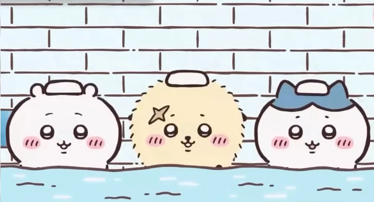 1293x699 About Rakko And Shisa : R Chiikawa_