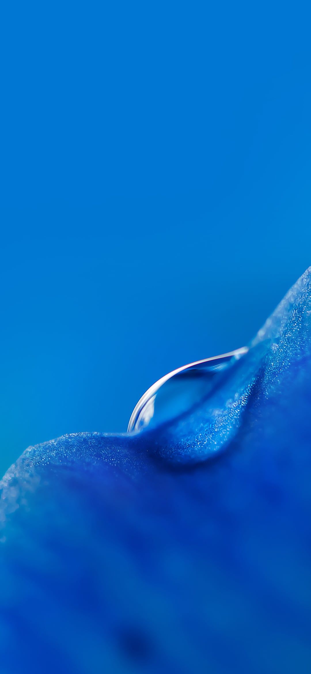1080x2340 Wallpaper Full set of official wallpaper of Xiaomi Mi 9