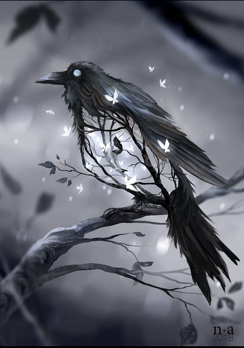 800x1140 Blackbird Crow, birds, black, halloween, ravens, HD phone wallpaper