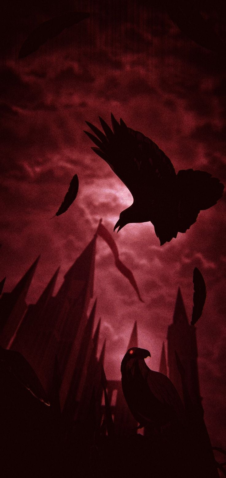 736x1551 Crows