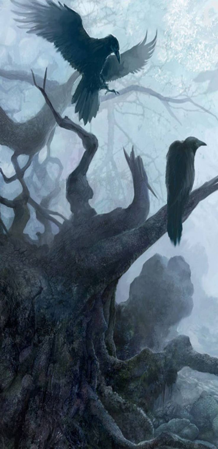 736x1512 Crows and Ravens Art