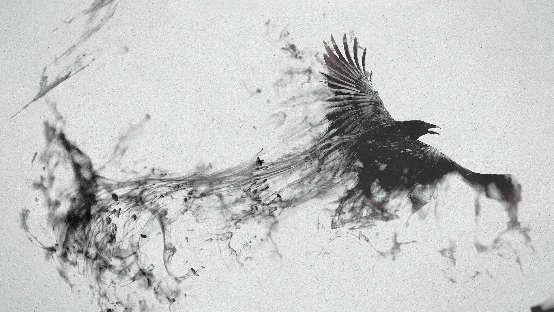 1920x1080 crow Wallpaper HD / Desktop and Mobile Background