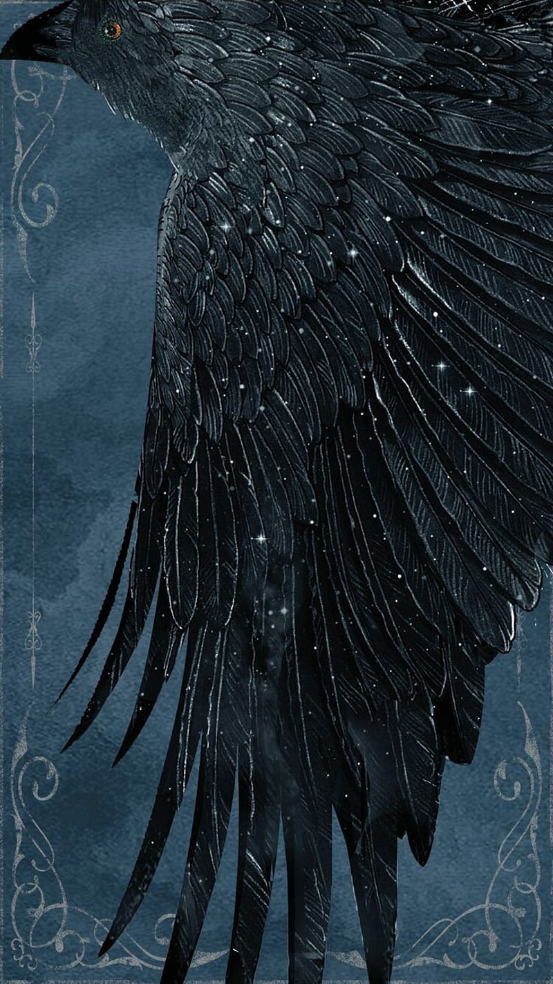 800x1423 Six of crows, crow, theme, HD phone wallpaper