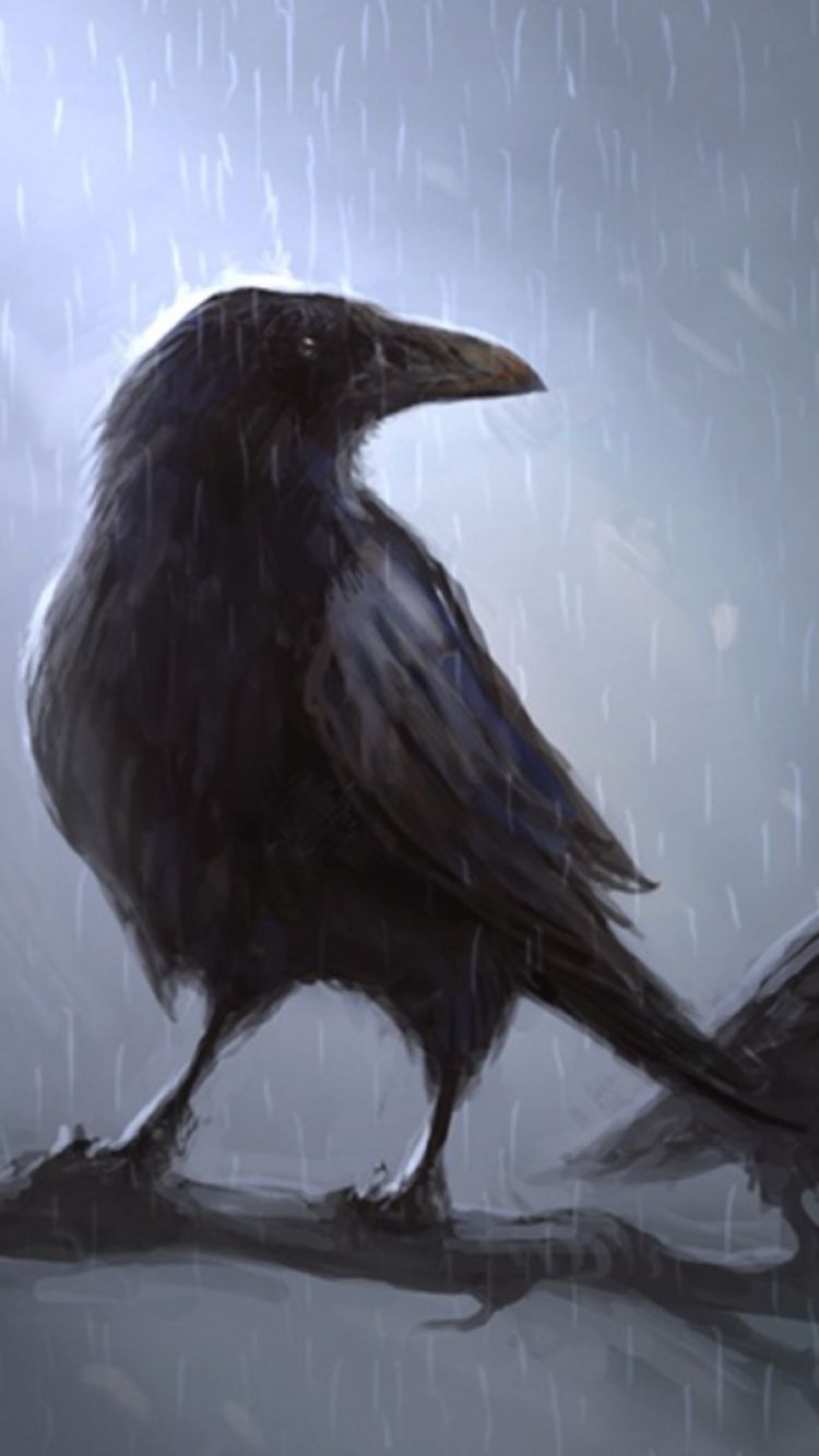 750x1334 Phone wallpaper: Animal, Crow, Raven, Bird 1209230