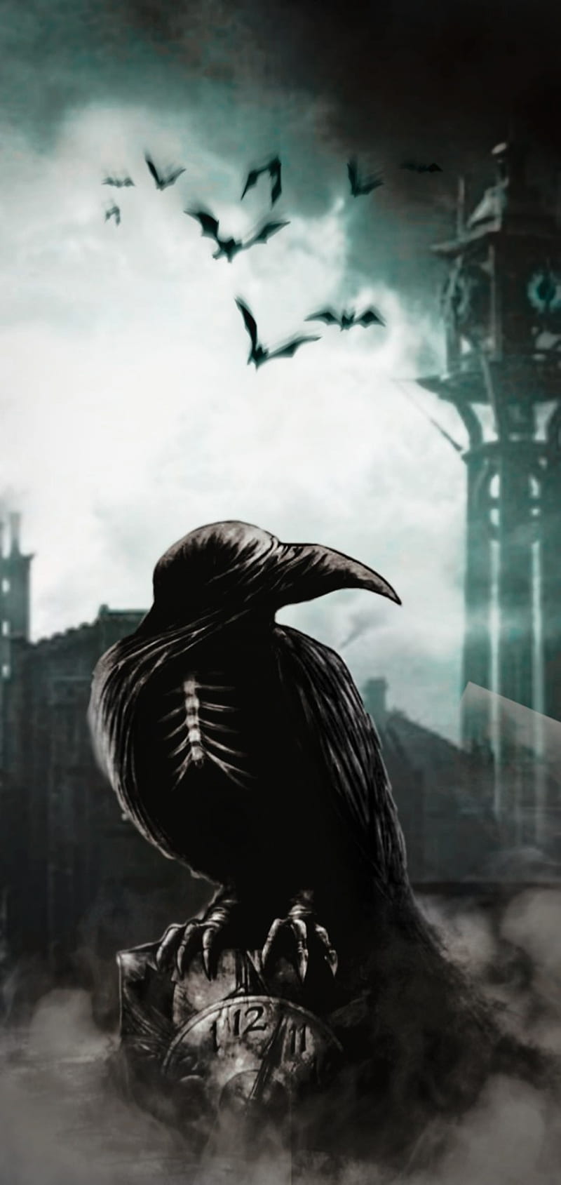 800x1689 Crow, crows, movies, HD phone wallpaper