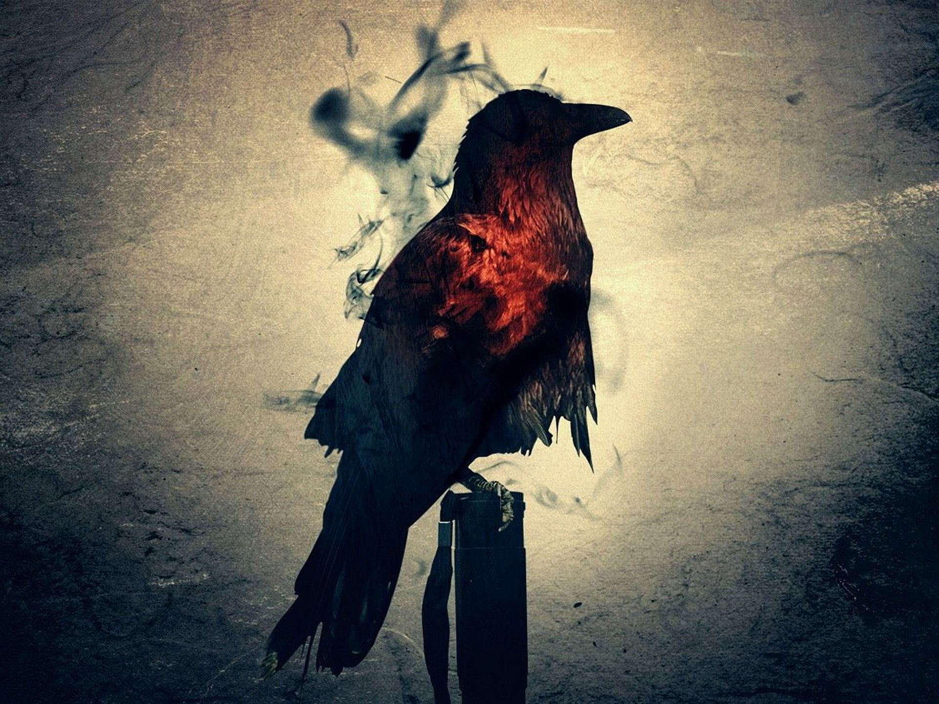 1920x1440 Wallpaper bird, silhouette, Raven, bird, crow, gloom for mobile and desktop, section разное, resolution 1920x1440