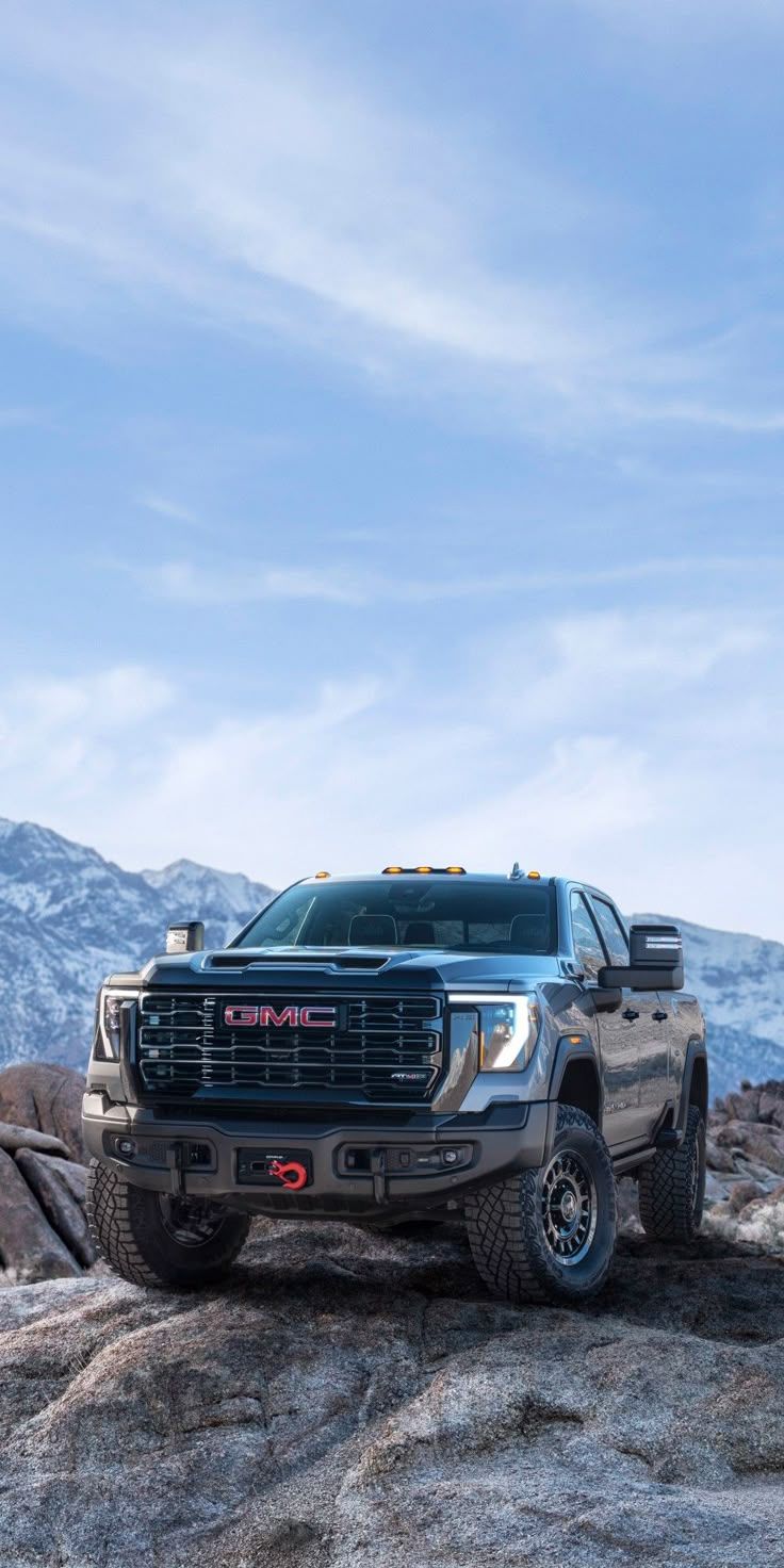 736x1472 My whips