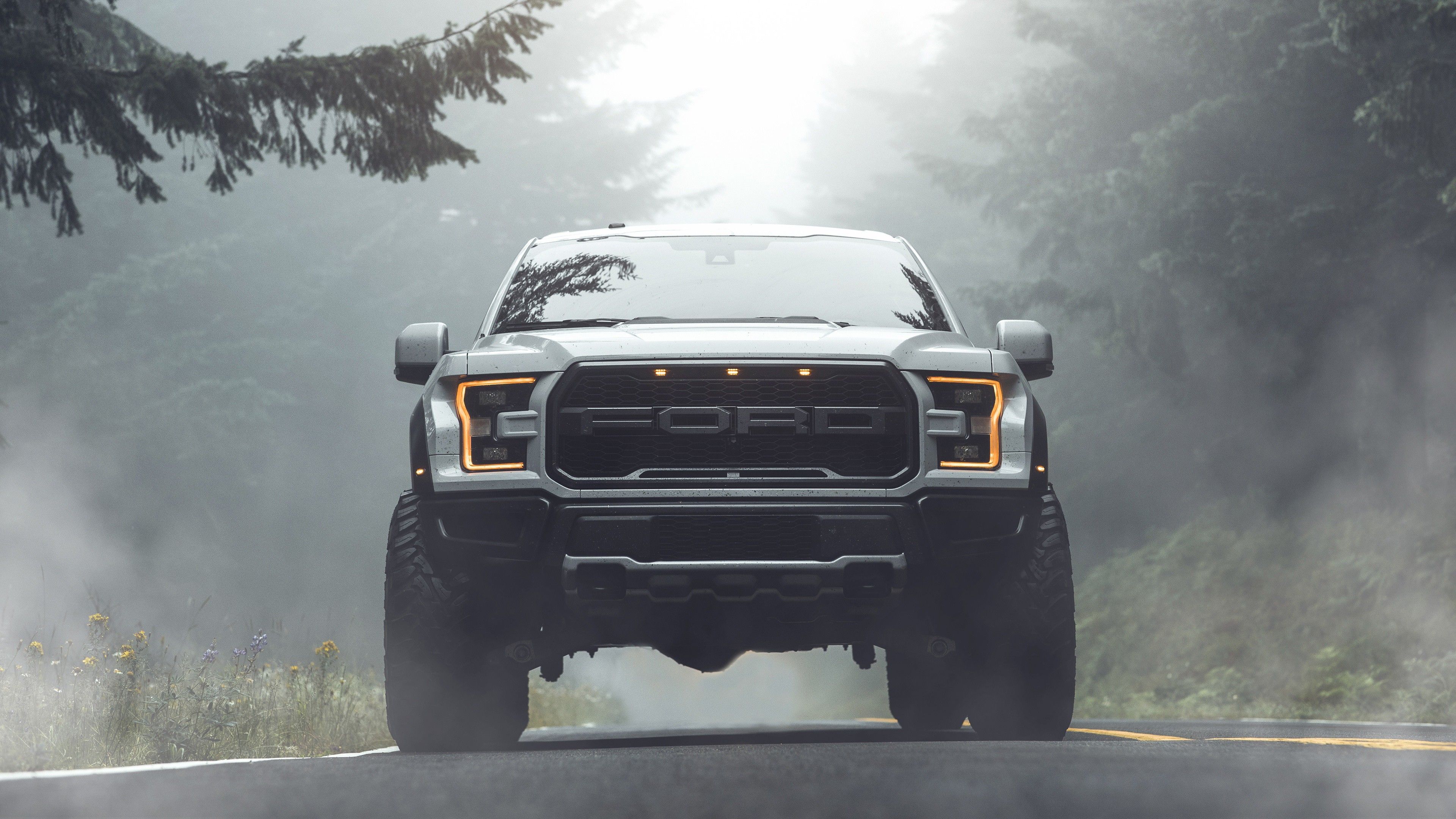 3840x2160 Ford F 150 Raptor Pickup Vehicle With Fog And Trees Background 4K HD Ford Raptor Wallpaper