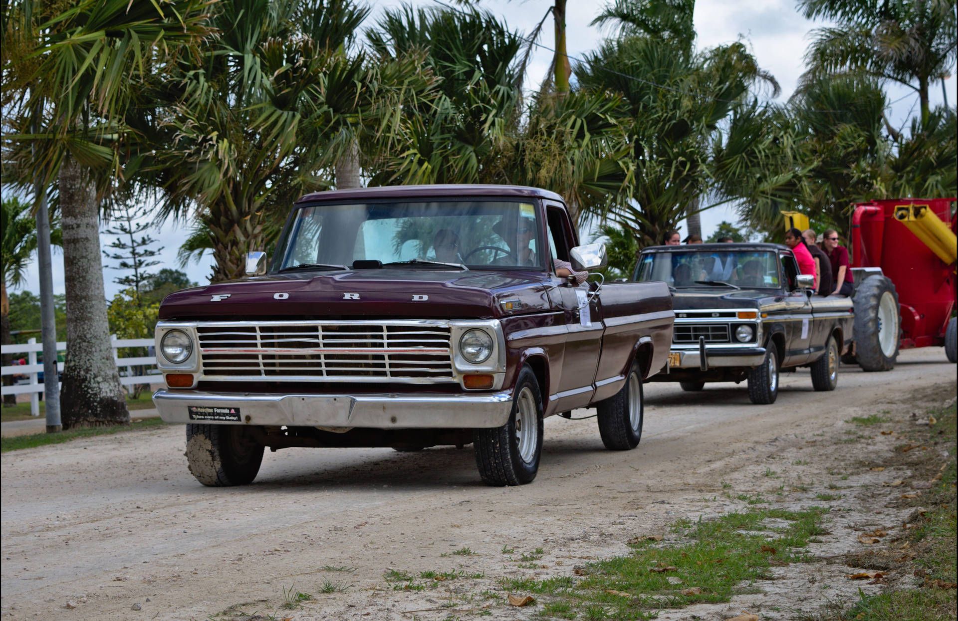 1920x1245 Download Timeless Beauty: A Pair of Classic Ford Trucks Wallpaper