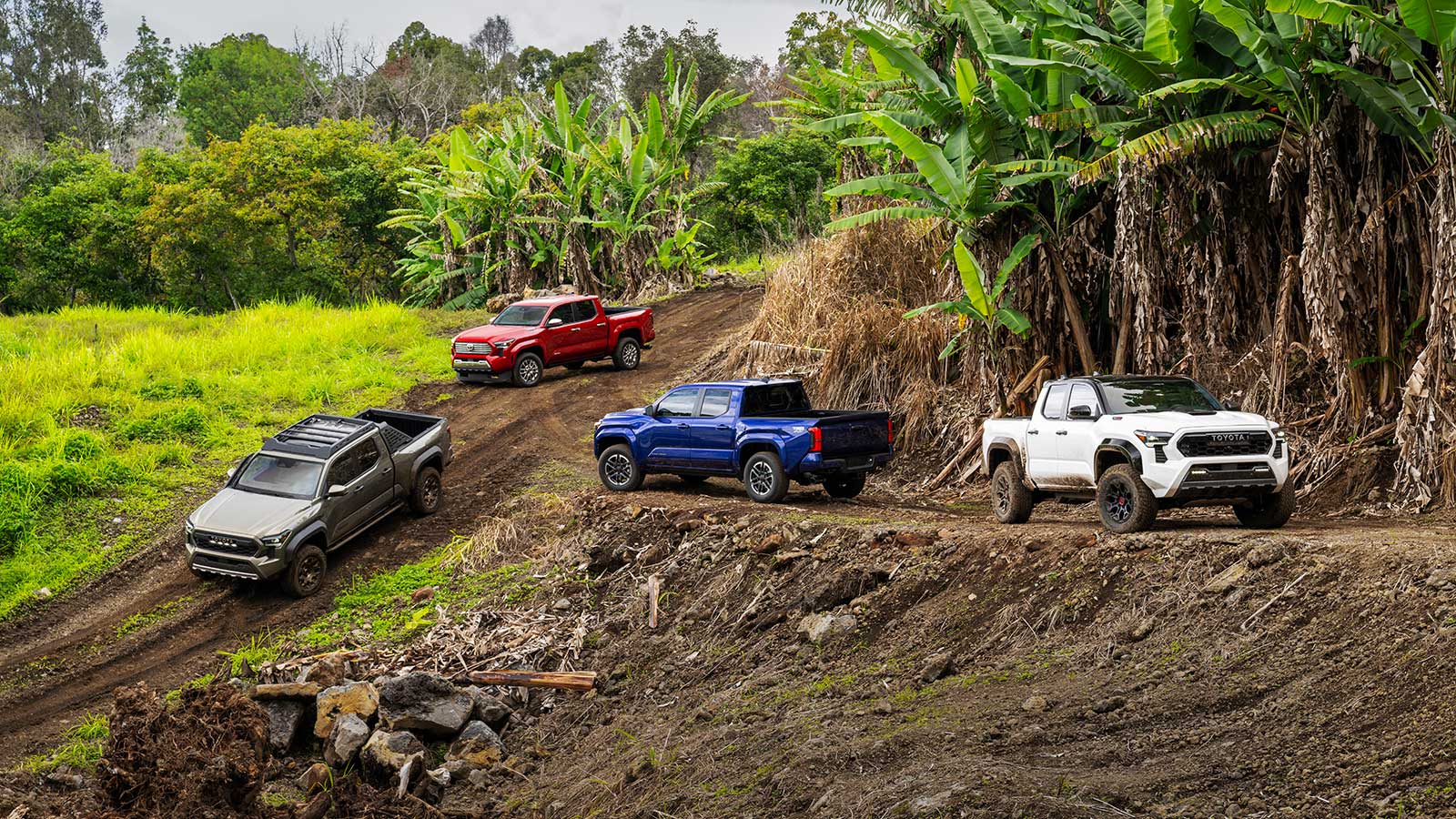 1600x900 Best Selling Trucks: Tacoma Shocks the Market