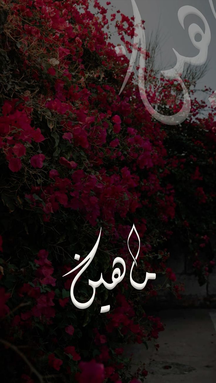 736x1308 Maheen Name Calligraphy wallpaper