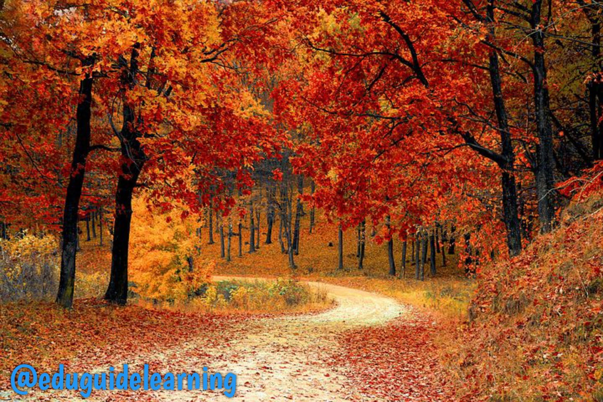 2048x1365 WHEN AUTUMN CAME BY FAIZ AHMED FAIZ. EXPLANATION, FULL SUMMARY WITH QUESTIONS AND ANSWERS FOR BOARD EXAM