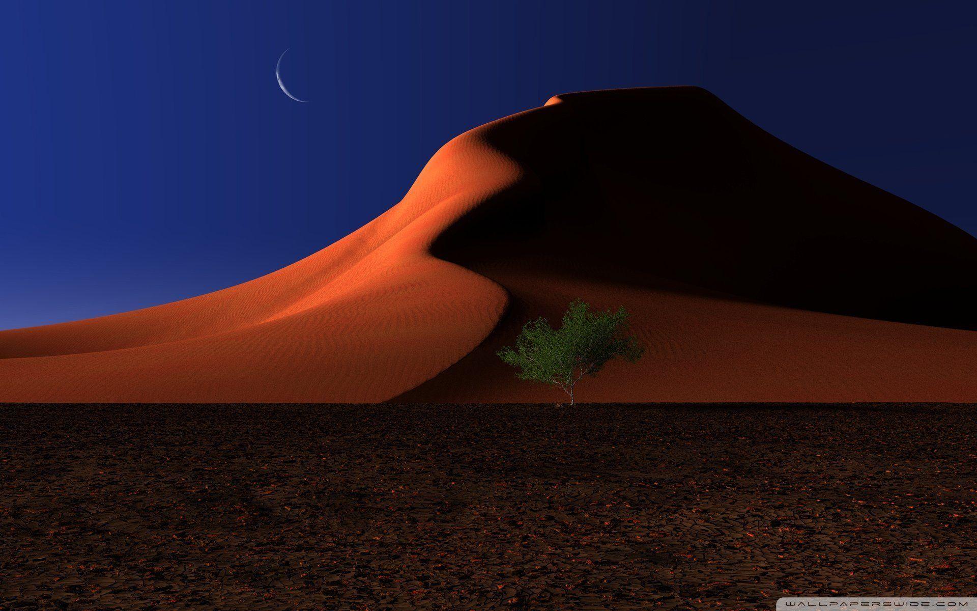 Desert Night Wallpaper