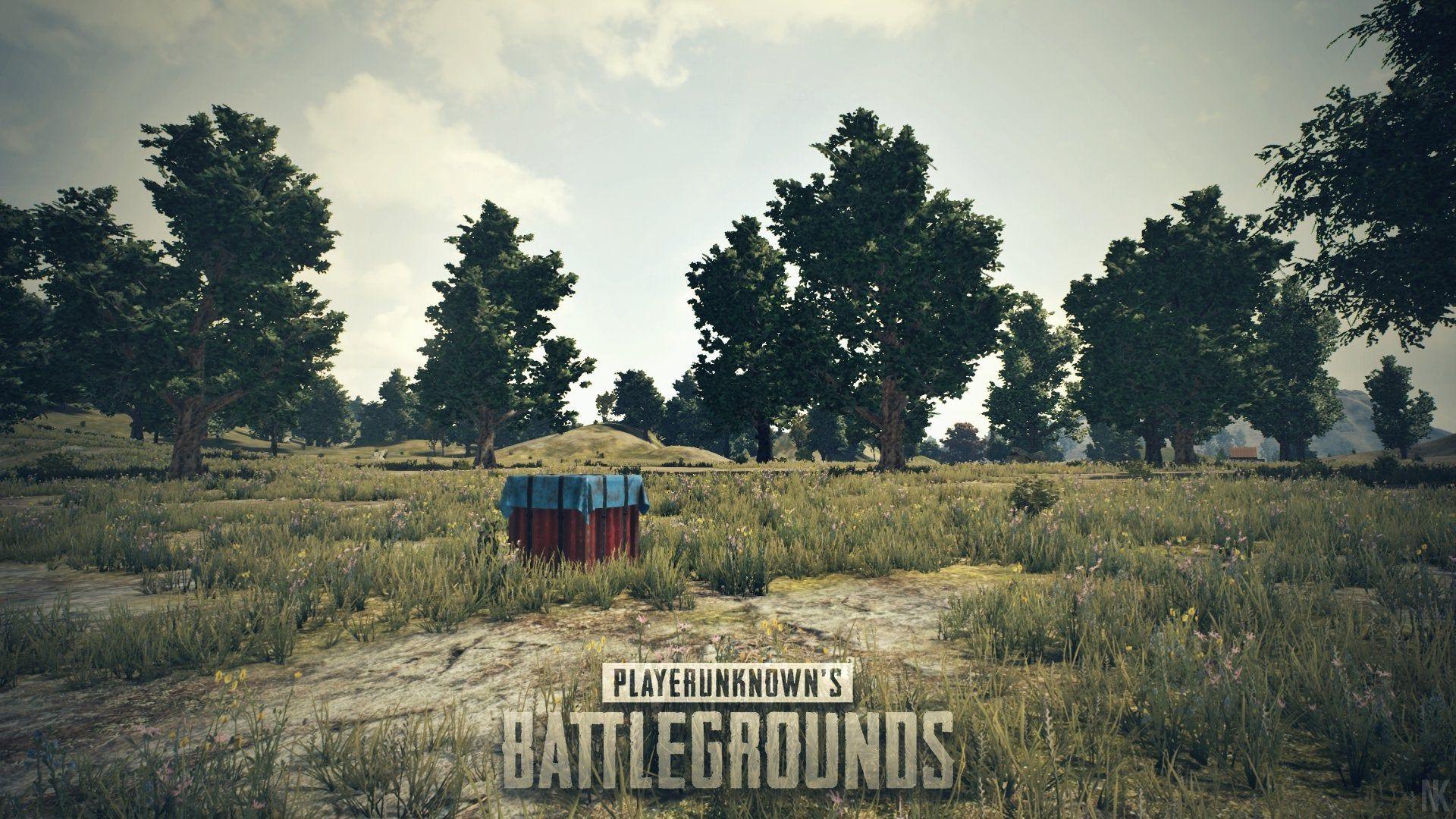 1920x1080 HD 1080p PUBG wallpaper