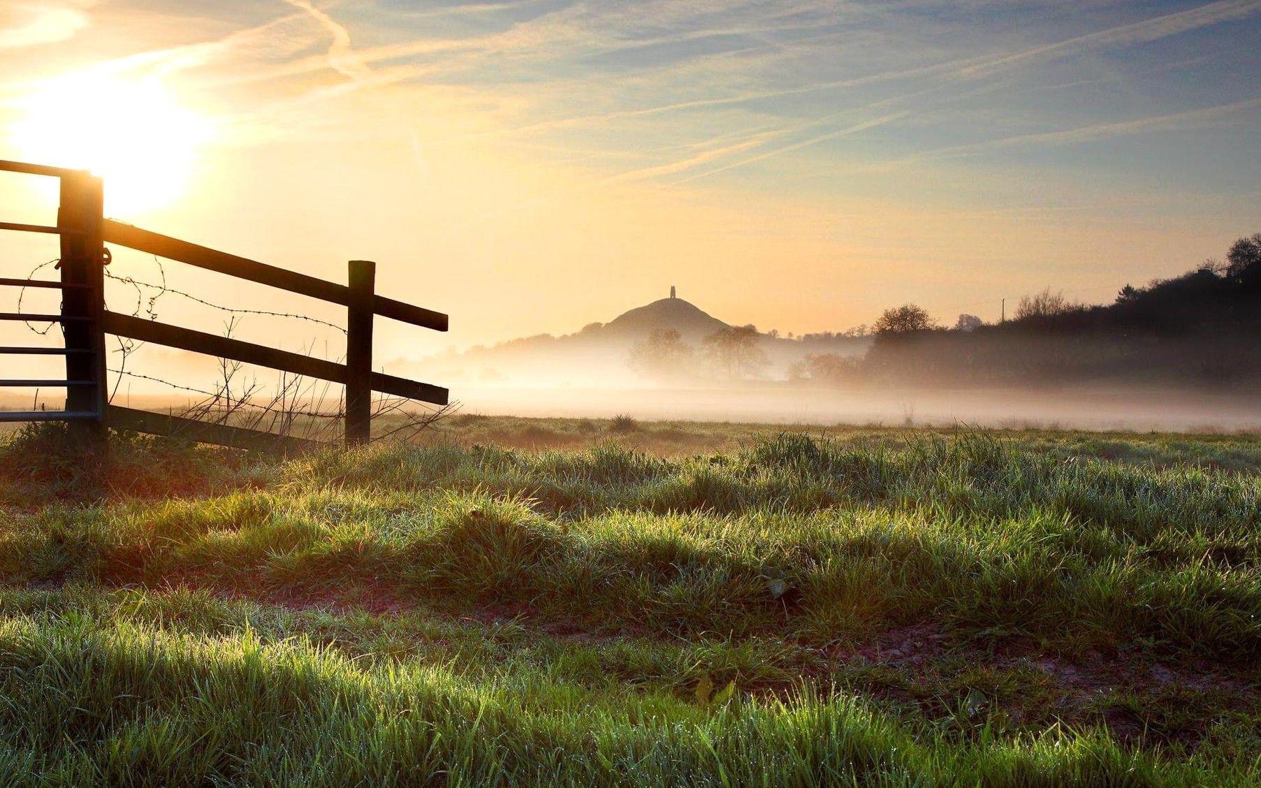 Country morning. Природа. Утро в поле. Ранний рассвет. Деревенский пейзаж.